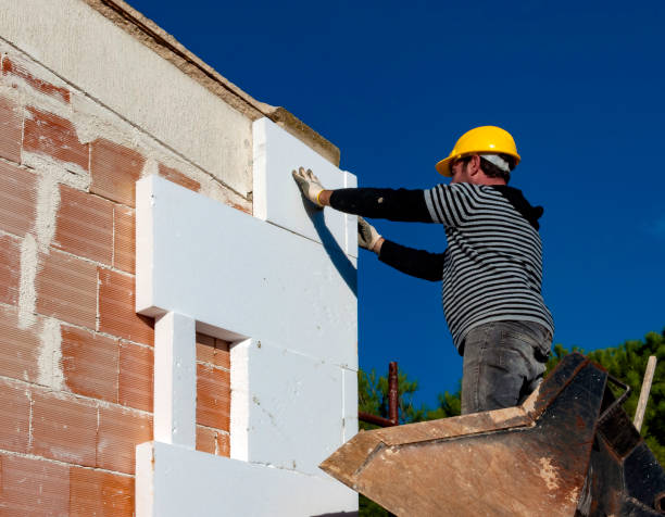 Best Professional Insulation Contractor  in Ralston, NE