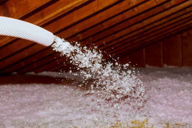 Best Insulation for New Construction  in Ralston, NE