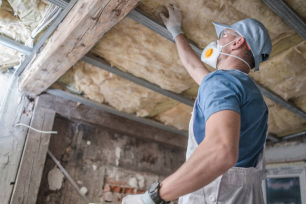 Best Soundproof Insulation Installation  in Ralston, NE