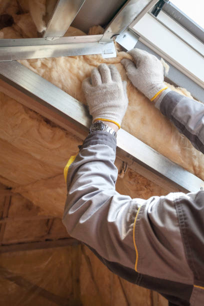 Best Soundproof Insulation Installation  in Ralston, NE