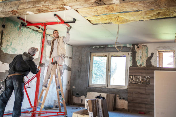 Best Residential Insulation Services  in Ralston, NE
