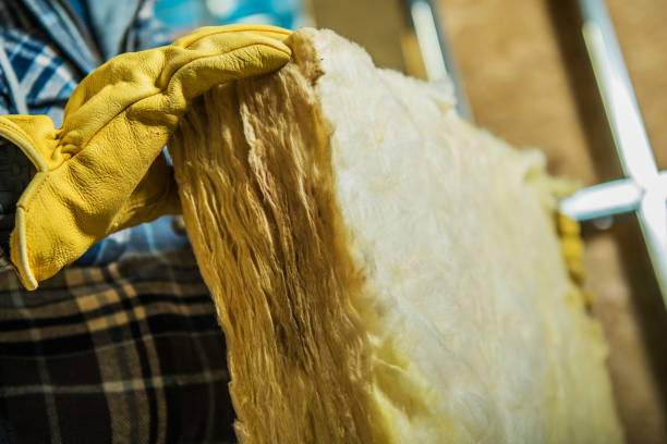 Best Blown-in Insulation  in Ralston, NE