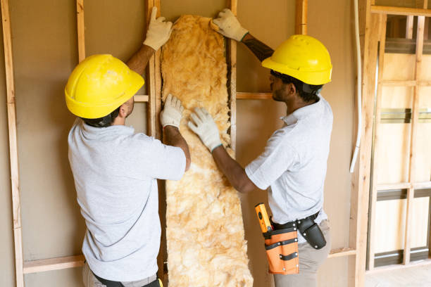 Best Home Insulation Services  in Ralston, NE