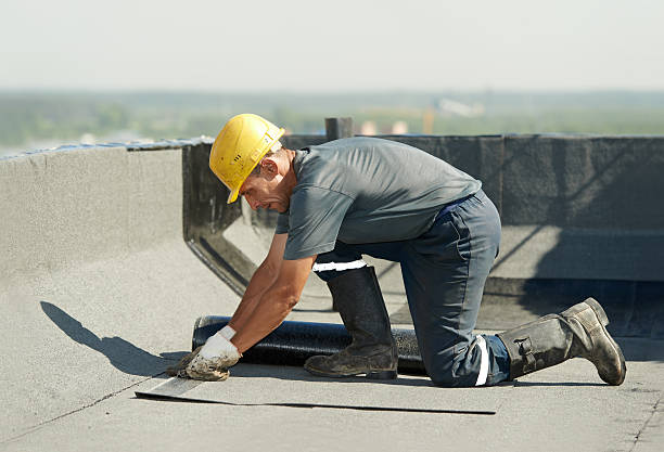 Best Insulation Contractors for Homes  in Ralston, NE