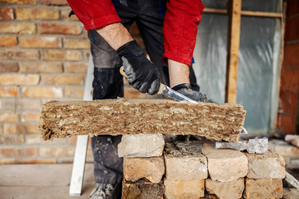 Best Insulation Contractor Near Me  in Ralston, NE