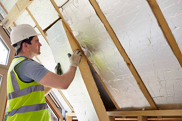 Best Insulation for New Construction  in Ralston, NE