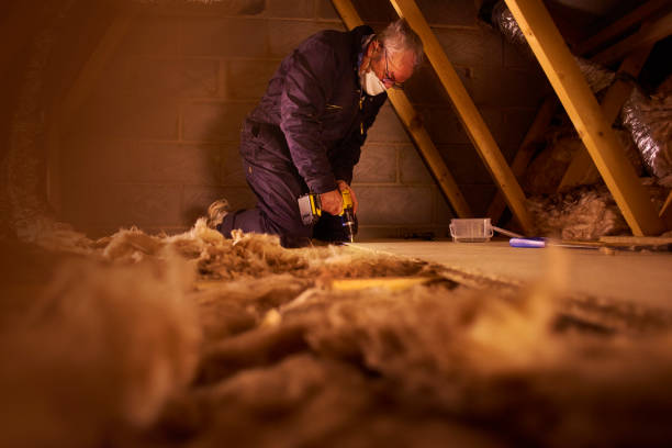 Best Insulation Replacement Services  in Ralston, NE