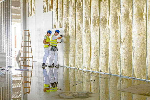 Best Attic Insulation Installation  in Ralston, NE